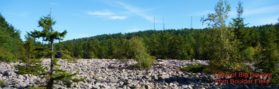 Veiw of Big Boulder from Boulder Field